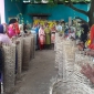 মেহেরপুর পৌরসভায় চারা গাছ বিতরণ