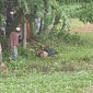 রাজবাড়ীতে পুকুর থেকে অজ্ঞাত যুবকের মরদেহ উদ্ধার