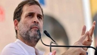 ১৫০ ফুটের ঘরে ৮০ ভোটার, রাহুলের ‘ভোটচুরি’র অভিযোগ ঘিরে তোলপাড়