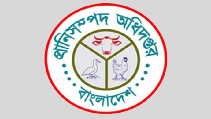 ভারত থেকে গরু আমদানি অনুমোদন; আসল তথ্য জানালো মন্ত্রণালয়